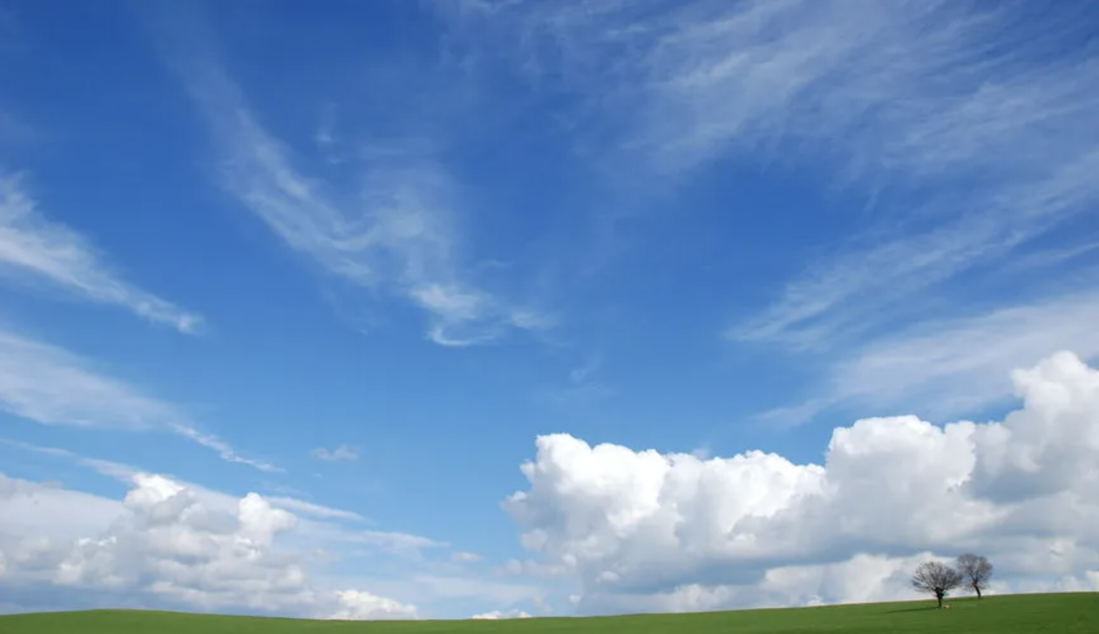 Wide open sky with scattered white clouds above a flat green field with two bare trees on the horizon